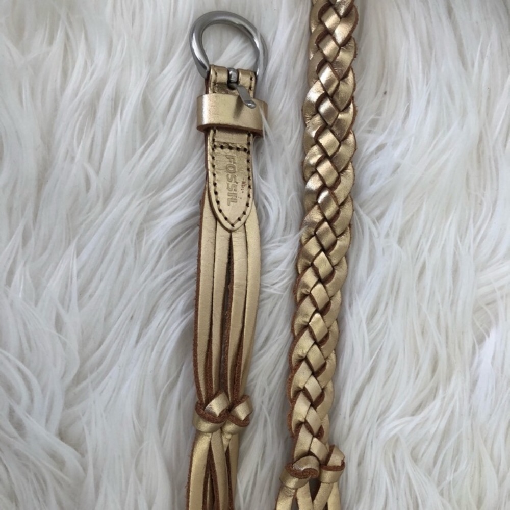 Fossil belt